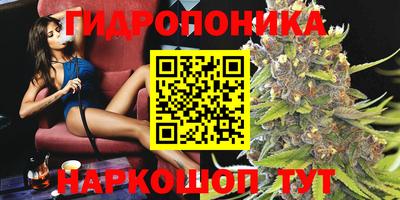 spice Азнакаево