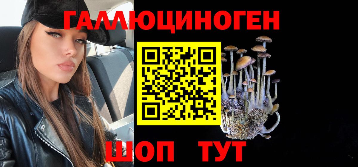 Псилоцибиновые грибы Psilocybine cubensis Алексин