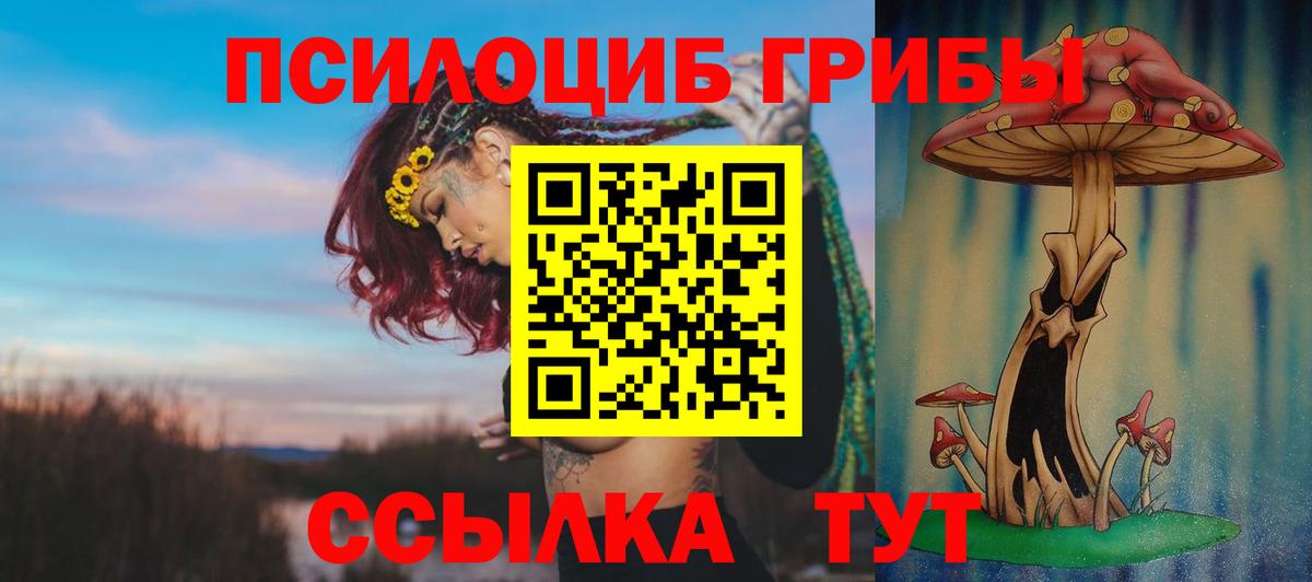 Галлюциногенные грибы Magic Shrooms  Вход с VPN  Алексин 